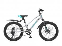 NISHIKI AGILE 24