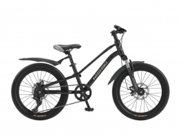 NISHIKI AGILE 24