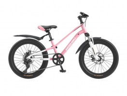 NISHIKI AGILE 24