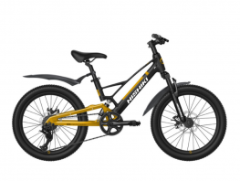 NISHIKI BEGIN 22