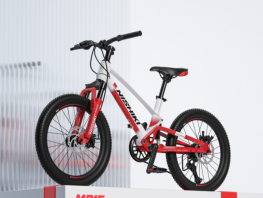 NISHIKI BEGIN 22