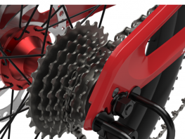 NISHIKI BEGIN 22