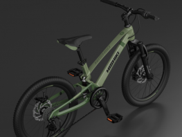 NISHIKI BEGIN 22