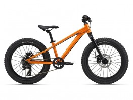 GIANT 2024 STP