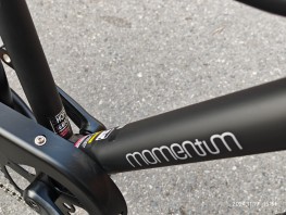 Momentum